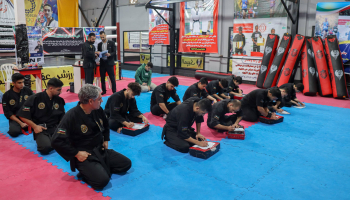 دوره دان و مربی گری نینجا